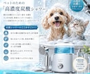売れるWeb画像・チラシデザインを制作します 売上につながる、伝わる・目を引く商品画像を丁寧に制作！ イメージ8