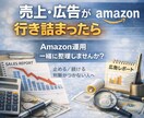 Amazon｜売上・広告・評価の状況を整理します 【迷路を抜け出し、判断できる状態へ】 イメージ1
