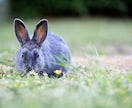 最長1日間☆短時間でも大丈夫！なんでもお話聞きます 相談、愚痴や雑談をトークルームで聞きます。ぼくとお話しましょ イメージ5