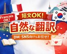英語・韓国語・フランス語に自然に翻訳します フランス語韓国語に特化！どんなもんでもかかってこい！ イメージ1
