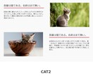 10ページ 3000円でHTMLコーディングします レスポンシブ対応、JavaScriptの設定も無料で行います イメージ4