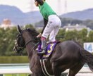 競馬の独自の見解と本命馬、推奨馬予想します あなたの予想を手助けします。展開から予想してます地方競馬も。 イメージ6