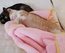 あなたの夫婦の悩み不倫、介護を改善いたします 悩みに合わせて解決策を考えていきます イメージ8