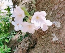 最長3日間‼︎知り合いには言えないお話し聞きます あなたのままでいてもいい。気楽に話せるそんな場所＾＾ イメージ8