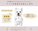 通常版★アニマルコミュニケーションします ★ペットの気持ちをやさしくお伝えします イメージ1