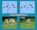 プロが画像加工・修正(レタッチ)いたします 写真館での業務経験を活かして画像加工いたします イメージ3