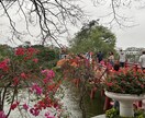 14ケ国海外旅行した経験から旅行のお手伝います あなたの旅行がもっと素敵な思い出となるようにお役に立てたら！ イメージ7