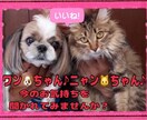 ペット占い♪ご家族の犬・猫ちゃん♪占わせて頂きます ！亡くなってしまったペットちゃん、、今のお気持ち知りたい‼︎ イメージ1