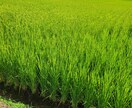 いつでもおかえりなさいと優しく寄り添います 今日の嬉しかった事、辛い、大変、何でも聞かせて下さいね♡ イメージ9