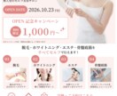 想いが伝わるチラシ・フライヤー制作致します 伝わるデザインで集客をサポートします イメージ4