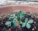繊細ゆえの、辛い！嫌だ！悩んでる！お聴きします 1時間集中！トークルームで！現役介護士が優しくお聴き致します イメージ5