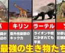 よく見るあのサムネイルを1000円で作ります 考察系動画で大人気のあのサムネイルを格安で提供します イメージ1