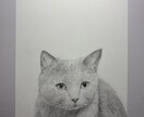 大切な人の記念に！リアルな鉛筆画オーダー承ります 画歴は短いですが、その分どこよりも真剣に描きます イメージ2