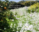 テキスト版　こころのモヤモヤを優しく言葉にします 書くだけで少し軽くなる時間を、一緒に作ります イメージ1