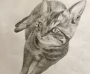 唯一無二の絵を描きます 世界にひとつの絵を鑑賞用にもプレゼントにもいかがですか？ イメージ2