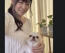 トリマー歴20年のプロが愛犬のお家ケア相談にます 3日チャットし放題！20年プロが愛犬のケアに伴走 イメージ1