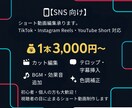 初心者OK!スマホ撮影動画をSNS用に編集します 撮っただけの動画をプロっぽく！やりとりも簡単です！ イメージ1