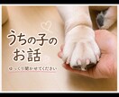 大好きなうちの子のお話聞きます うちの子自慢も思い出話もゆっくりお聞きします イメージ1