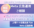 スクール・講座販売のプロがMeta広告診断します ROAS4666%の実績！広告×LP導線設計で売上を作ります イメージ1