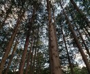 お悩みや愚痴聞きます 悩みを閉じ込めたままでは、ただのストレスにしかならない。 イメージ2