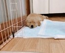 12月は最安値でタロット占いします お気軽にご相談下さい☆お待ちしております♪ イメージ1