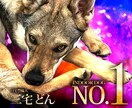 パッと目を惹く！WEB画像お作りします 1,500円バナー/ヘッダー/サムネイル イメージ6