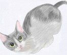 皆さんの愛しいペットの写真をイラストにします どんなタッチの絵か、相談可能です！お直しは3回まで無料です！ イメージ3