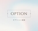 ご購入後のオプション追加はこちらからお願い致します ホームページ制作サービスをご購入のお客様用のサービスです。 イメージ1