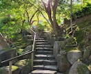 お悩みに対し、リーディングします 今後自分らしい流れに整うヒントをお届けします。 イメージ3
