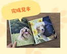 ペットの写真集（フォトブック）をつくります 写真を送るだけ！ペットの写真を本にしませんか？ イメージ2