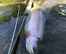 虹鱒 【釣り】 北海道の虹鱒をフライで狙う！ます ワイルドレインボー ハンティングメソッド イメージ7