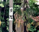 最短納期5日！なんでも描きます 最短納期5日で立ち絵、1枚絵、なんでも描きます！ イメージ5
