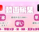AI音声を使用した解説動画を最短１日で作ります 台本やイメージを投げるだけ！スピード納品、低価格で承ります。 イメージ1