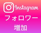 インスタグラムのフォロワー増加をサポートします Instagram★とにかく早く増やしたい！ならお任せを★ イメージ1