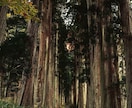 強制縁結び【玉璽の儀】5日間連続してご縁を結びます ☆強力縁結び禁厭☆復縁など恋愛成就のブロックを破壊して叶える イメージ7