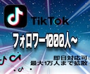 Tiktokのフォロワー1万人増えるまで拡散します まずは1000人から！即対応可能です◎♩ イメージ1