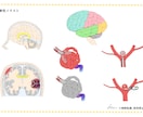 論文、書籍で使用するメディカルイラスト制作します 脳専門。2000枚以上制作しました。 イメージ3