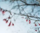風景撮影代行…広告・趣味等の風景写真承ります Instagram・YouTubeなど幅広い使用用途で提供 イメージ5