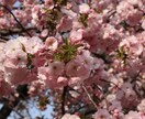 あなたの心に残るフォトをお届けします 自然体を生かし、一枚の写真で人の心を動かす写真家 イメージ6