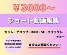 ショート動画編集承ります SNS用の動画編集者を探している方必見！お急ぎ対応も可！ イメージ1