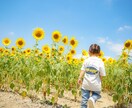 東三河で自然体の家族写真をパパカメラマンが撮ります 豊橋・豊川・蒲郡・田原で家族写真を撮ります（平日も可） イメージ2