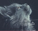 チラシ作成致します あなたの思い描いたデザインを〜 イメージ3
