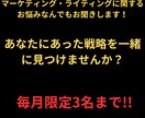 マーケティング・ライティング何でも相談にのります あなたに最適なオンラインセールス方法をご提案します イメージ1