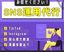 TikTokとInstagramの運用代行をします TikTok / Instagramを伸ばすSNS運用代行 イメージ1