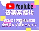 音楽系特化 1万再生～ 増加まで全世界に拡散します 1万再生1万円！全世界に向けてプロモーション 振り分け可能 イメージ1