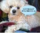 安心してお話しください。温かく寄り添い傾聴します 人間関係・仕事の疲れに。否定せず、優しくお話お聴きします。 イメージ10