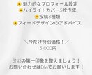 初心者でも安心！SNS運用の初期設定をします 写真とデザインで映えるSNS運用をサポート イメージ6