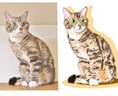 ペットの似顔絵イラストやアイコンお描きいたします お写真を元にご家族さまのデジタルイラストをお描きいたします！ イメージ2