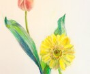 趣味の鉛筆画2作品を指導講評します 美術講師が花や果物、人物や動物などの色鉛筆画を指導します イメージ1