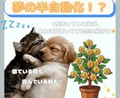 あなたの代わりに売れるコンテンツ作成します 面倒な商品作りは丸投げ！AI活用のプロ品質作成代行！ イメージ5